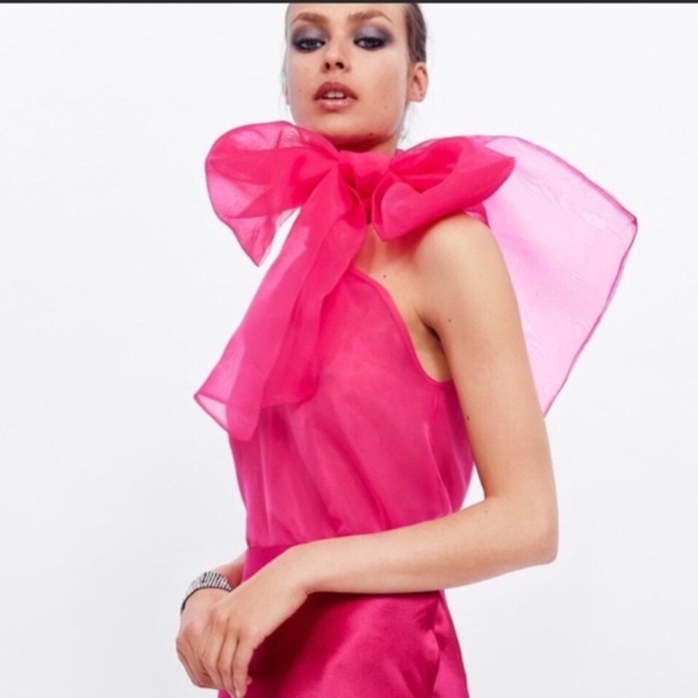 NWT ZARA Organza Top with Bow